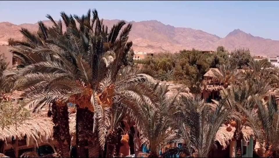 Villa A5Ena House Dahab Esterno foto